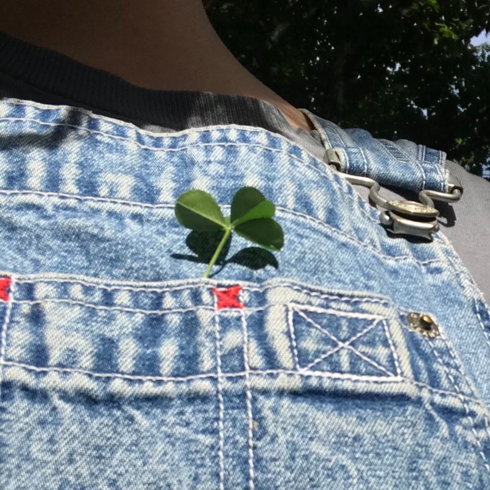 Meet your Posher, Brigitte